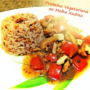 proteina_vegetariano_molho_xadrez.JPG