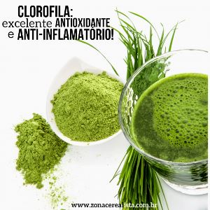 Clorofila: excelente antioxidante e anti-inflamatório!