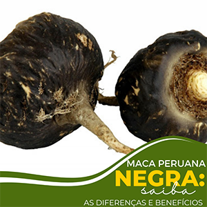 maca peruana negra wenutri